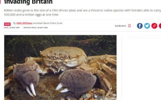 中国大闸蟹正在入侵英国：英媒呼吁警惕生物入侵