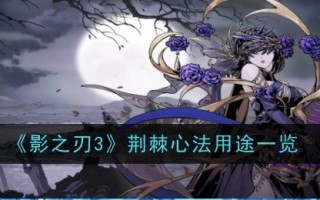 《影之刃3》中荆棘方法的使用列表