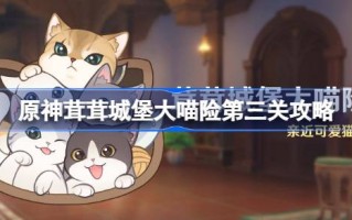 原神荣荣城堡大喵保险第三天怎么过？原神荣荣城堡大喵保险第三关