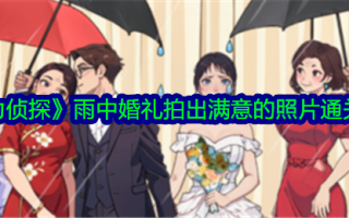 《大脑侦探》婚礼在雨中拍摄满意照片。