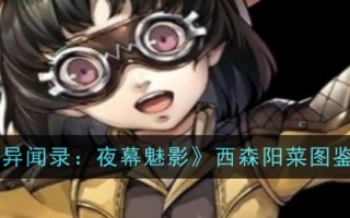 《女神异闻录:夜之幻影》中的西森洋菜简介