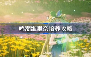 明晁伟力乃声骨武器阵容推荐