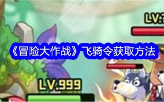 如何获得冒险战斗的飞行命令