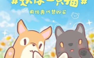 猫和汤x北京认养日x小米食堂给你一只猫