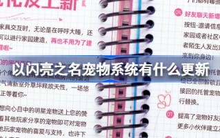 以闪亮之名宠物系统有什么更新？