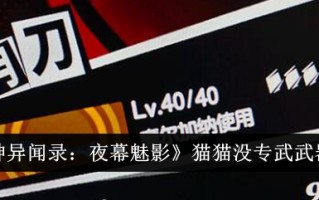 女神奇闻:夜猫魅影没有选择专门的武器。