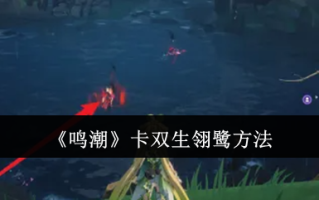 《鸣潮》卡双生翎鹭方法