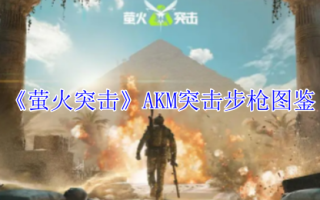 《萤火突击》AKM突击步枪图鉴