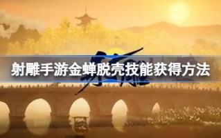 一款手雕游戏中金蝉脱壳的技巧如何获取？