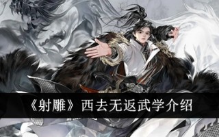 《射雕》武学入门西行不归。