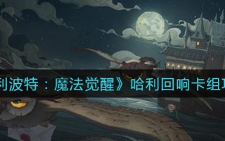 《哈利波特：魔法觉醒》哈利回响卡组攻略