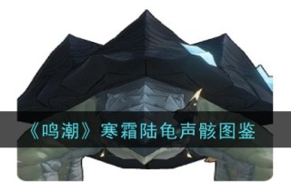 《明潮》霜龟音骨图