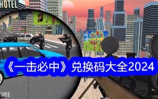 “一击必赢”交易所代码集2024