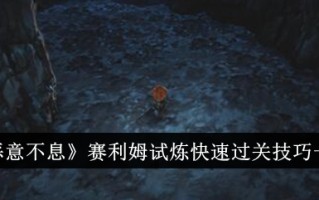 塞利姆在恶意无休止的审判中的快速传球技巧调查