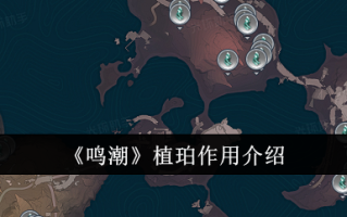 明朝珍珠种植的作用介绍