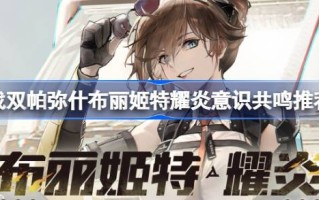 如何选择帕米尔高原布里吉特特么岩的意识共鸣？