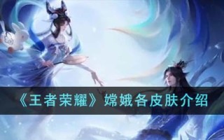《王者荣耀》嫦娥各皮肤介绍