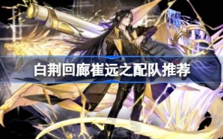 如何搭配白净回廊崔袁志的阵容
