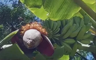 我看到了一双美腿，你呢？27张令人怀疑双眼的错觉照