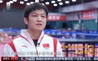 樊振东谈畸形饭圈文化 输赢都不行