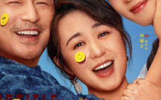 《第二十条》进入中国影史票房榜前29位！豆瓣7.6分