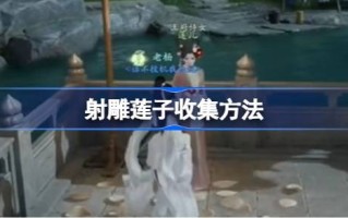 如何收集雕刻好的莲子？雕刻莲子的收集方法