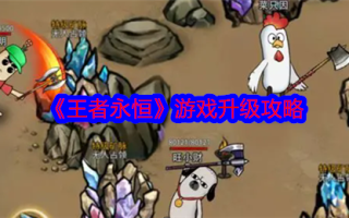 《王者永恒》游戏升级攻略